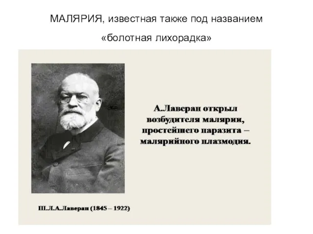 МАЛЯРИЯ, известная также под названием «болотная лихорадка» В 1880 г. А. Лаверан открыл возбудителя Малярии человека