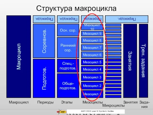 IAAF CECS Level IV Middle and Long Distance Структура макроцикла Этапы Обще-