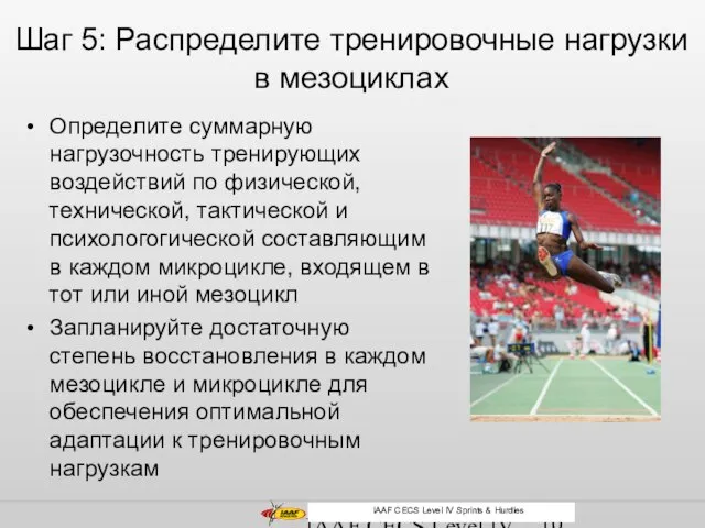 IAAF CECS Level IV Middle and Long Distance Шаг 5: Распределите тренировочные