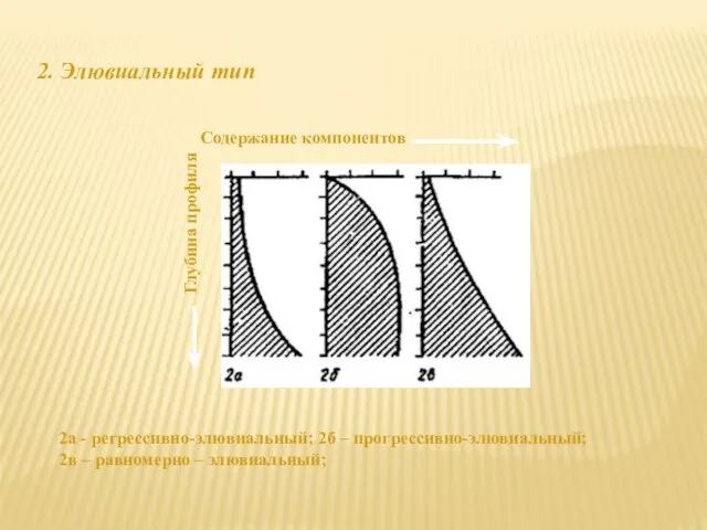 Содержание компонентов Глубина профиля 2а - регрессивно-элювиальный; 2б – прогрессивно-элювиальный; 2в –