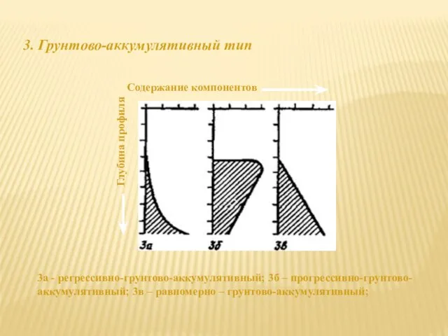 Содержание компонентов Глубина профиля 3а - регрессивно-грунтово-аккумулятивный; 3б – прогрессивно-грунтово- аккумулятивный; 3в