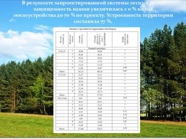 В результате запроектированной системы лесных полос защищенность пашни увеличилась с 0 %