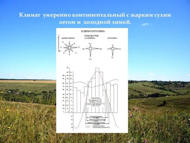 Климат умеренно континентальный с жарким сухим летом и холодной зимой.