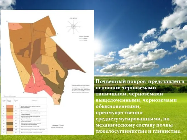 Почвенный покров представлен в основном черноземами типичными, черноземами выщелоченными, черноземами обыкновенными, преимущественно