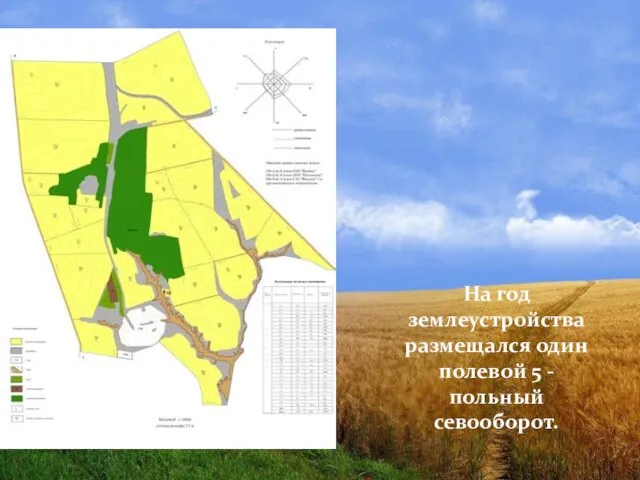 На год землеустройства размещался один полевой 5 - польный севооборот.