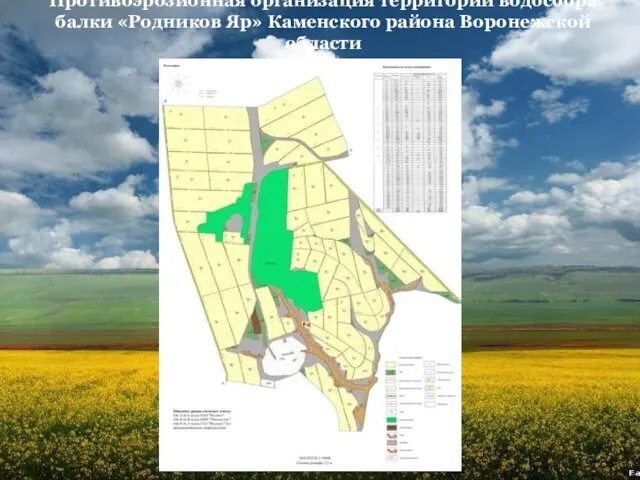 Противоэрозионная организация территории водосбора балки «Родников Яр» Каменского района Воронежской области