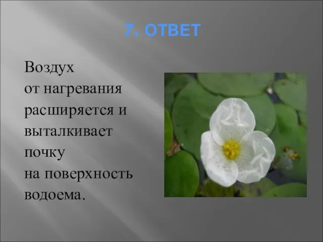 7. ОТВЕТ Воздух от нагревания расширяется и выталкивает почку на поверхность водоема.