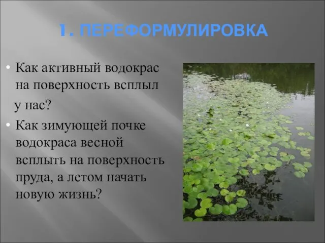 Как активный водокрас на поверхность всплыл у нас? Как зимующей почке водокраса