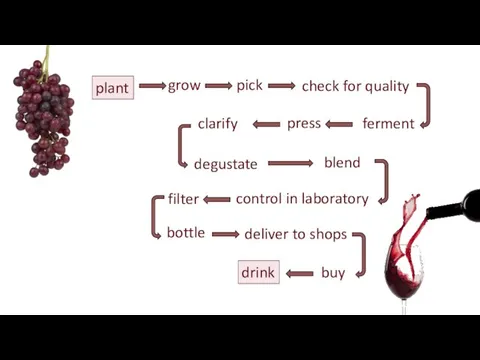 grow plant pick check for quality control in laboratory filter bottle blend