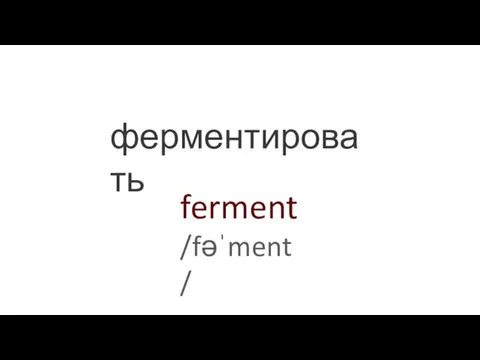 ferment /fəˈment/ ферментировать