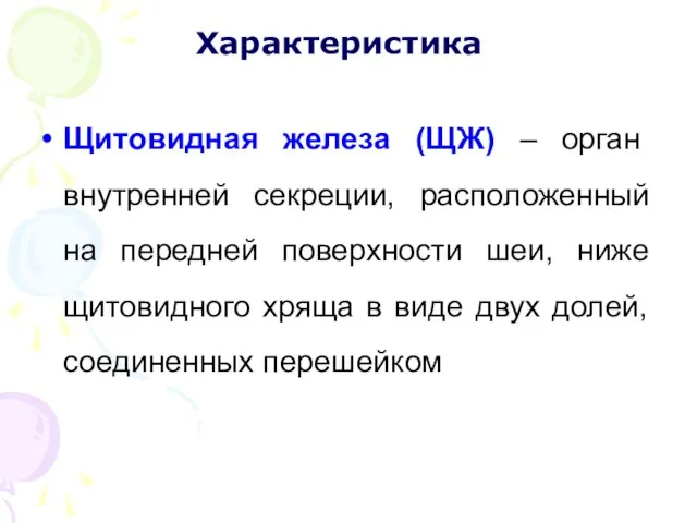 Щитовидная железа (ЩЖ) – орган внутренней секреции, расположенный на передней поверхности шеи,