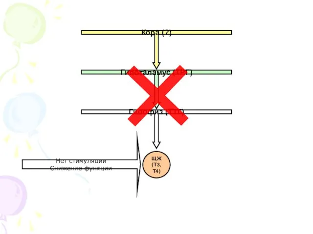 Кора (?) Гипоталамус (ТРГ) Гипофиз (ТТГ) ЩЖ (Т3, Т4) Нет стимуляции Снижение функции