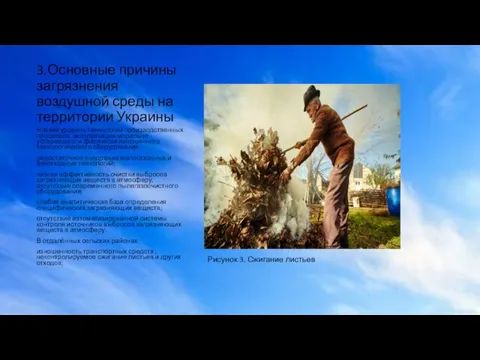 3.Основные причины загрязнения воздушной среды на территории Украины Рисунок 3. Сжигание листьев