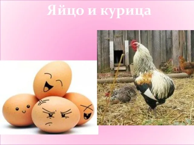 Яйцо и курица Яйцо и курица