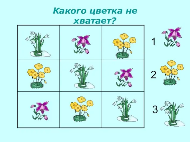 Какого цветка не хватает? 1 2 3