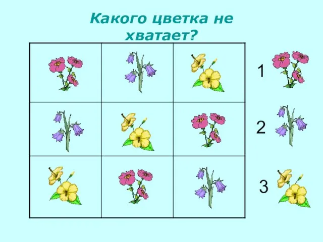 1 2 3 Какого цветка не хватает?