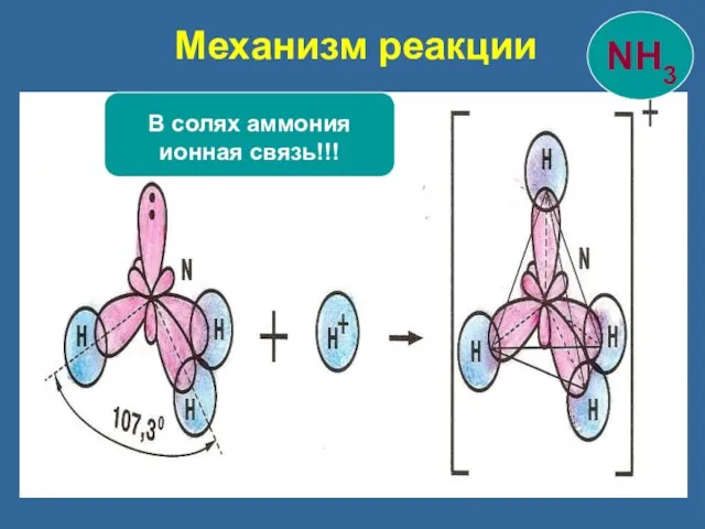 Механизм реакции В солях аммония ионная связь!!!