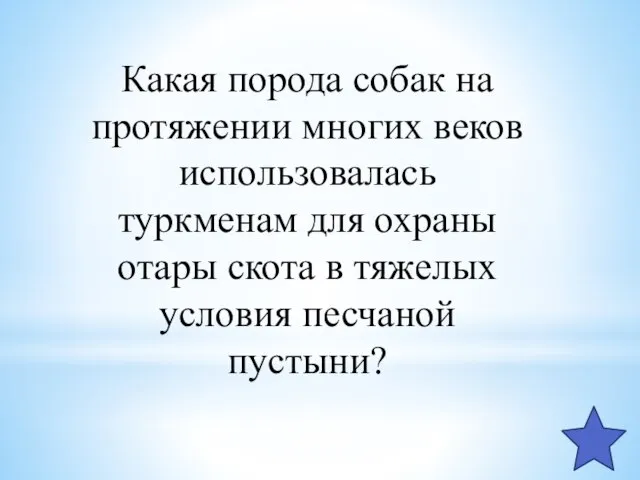 Какая порода собак на протяжении многих веков использовалась туркменам для охраны отары