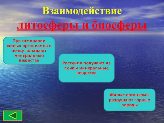 Взаимодействие литосферы и биосферы При отмирании живых организмов в почву попадают минеральные