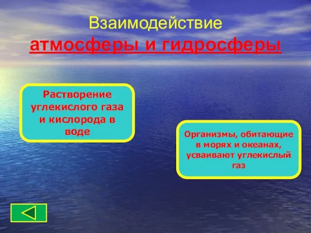 Взаимодействие атмосферы и гидросферы Растворение углекислого газа и кислорода в воде Организмы,