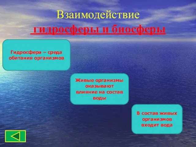 Взаимодействие гидросферы и биосферы В состав живых организмов входит вода Живые организмы