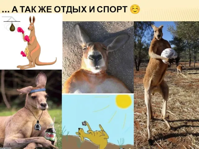 … А ТАК ЖЕ ОТДЫХ И СПОРТ ☺