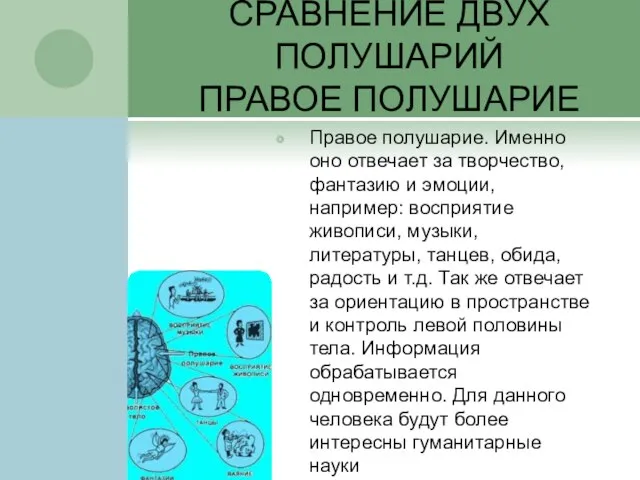 СРАВНЕНИЕ ДВУХ ПОЛУШАРИЙ ПРАВОЕ ПОЛУШАРИЕ Правое полушарие. Именно оно отвечает за творчество,