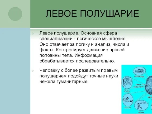 ЛЕВОЕ ПОЛУШАРИЕ Левое полушарие. Основная сфера специализации - логическое мышление. Оно отвечает