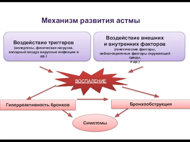 Механизм развития астмы ВОСПАЛЕНИЕ Воздействие триггеров (аллергены, физическая нагрузка, холодный воздух вирусные