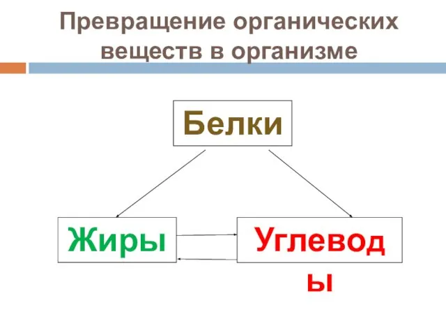 Превращение органических веществ в организме