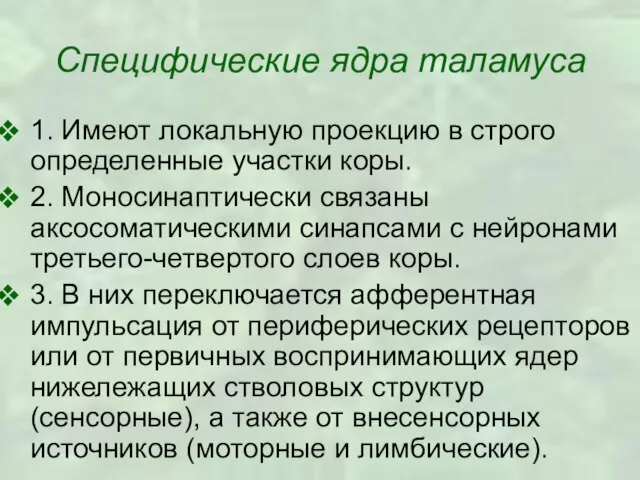 Специфические ядра таламуса 1. Имеют локальную проекцию в строго определенные участки коры.