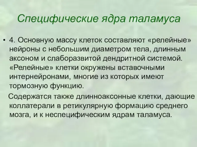 Специфические ядра таламуса 4. Основную массу клеток составляют «релейные» нейроны с небольшим