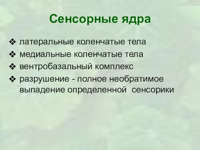 Сенсорные ядра латеральные коленчатые тела медиальные коленчатые тела вентробазальный комплекс разрушение -