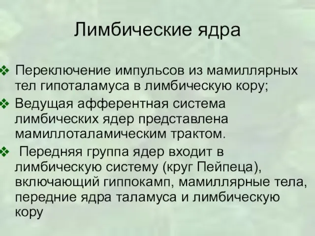 Лимбические ядра Переключение импульсов из мамиллярных тел гипоталамуса в лимбическую кору; Ведущая