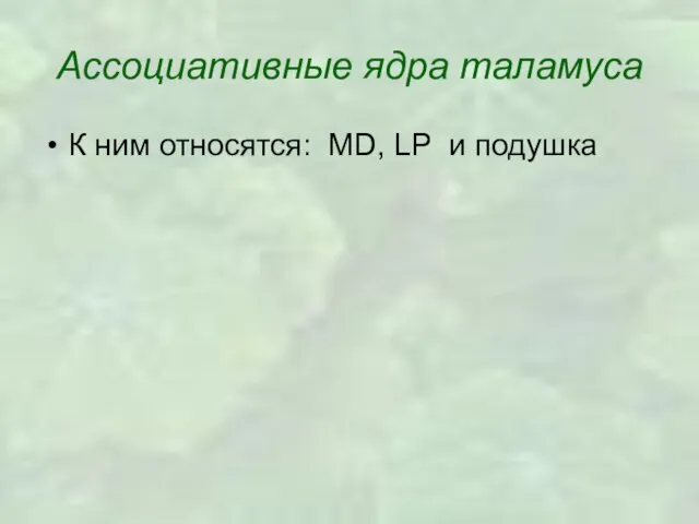 Ассоциативные ядра таламуса К ним относятся: MD, LP и подушка