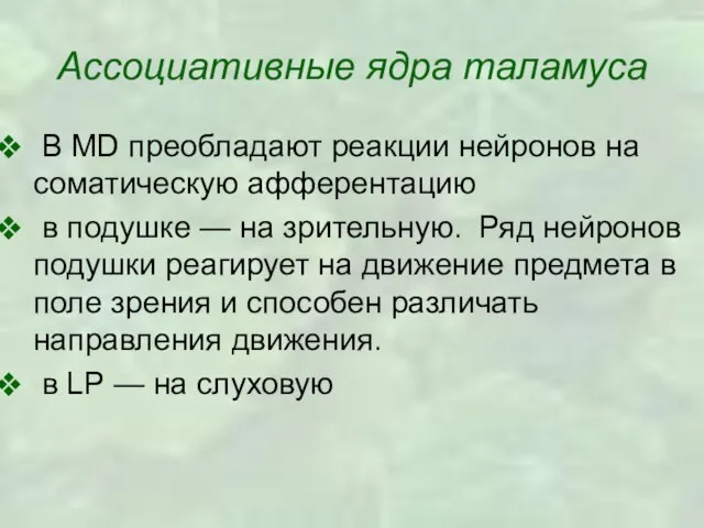 Ассоциативные ядра таламуса В MD преобладают реакции нейронов на соматическую афферентацию в