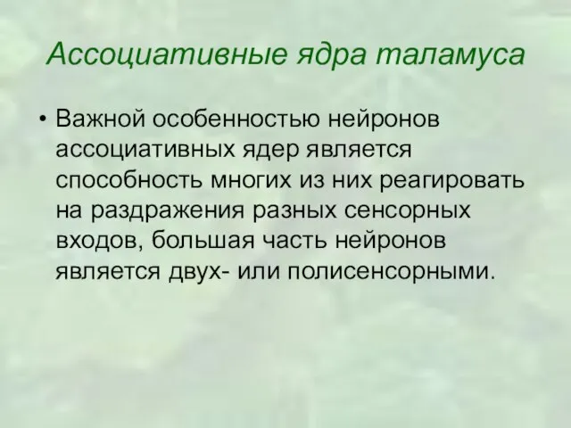 Ассоциативные ядра таламуса Важной особенностью нейронов ассоциативных ядер является способность многих из