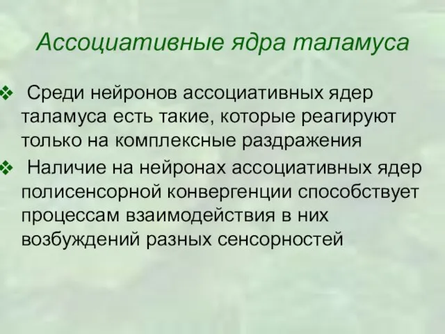 Ассоциативные ядра таламуса Среди нейронов ассоциативных ядер таламуса есть такие, которые реагируют