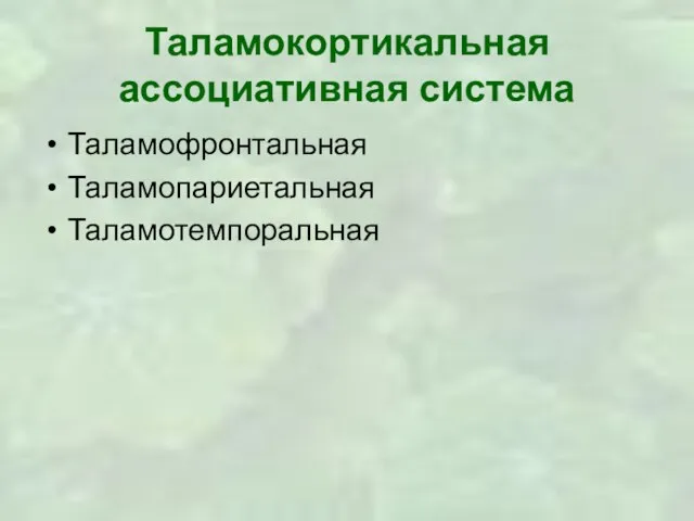 Таламокортикальная ассоциативная система Таламофронтальная Таламопариетальная Таламотемпоральная