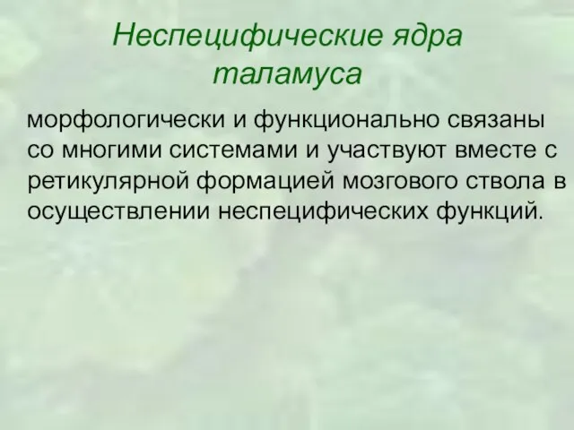 Неспецифические ядра таламуса морфологически и функционально связаны со многими системами и участвуют