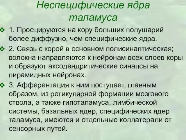 Неспецифические ядра таламуса 1. Проецируются на кору больших полушарий более диффузно, чем