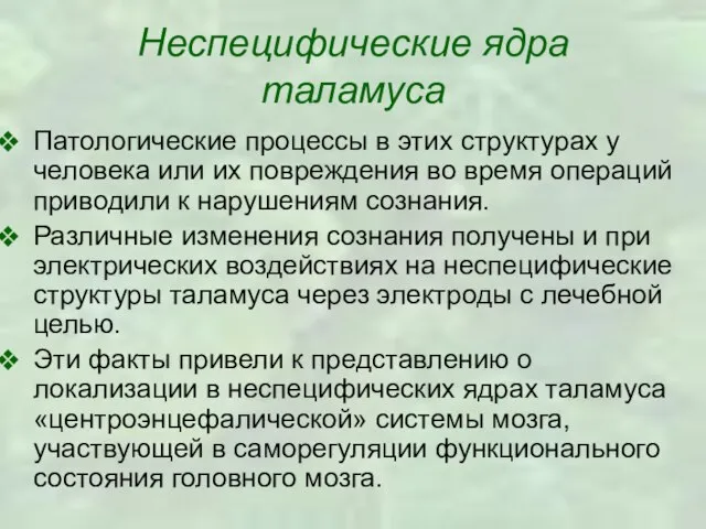 Неспецифические ядра таламуса Патологические процессы в этих структурах у человека или их