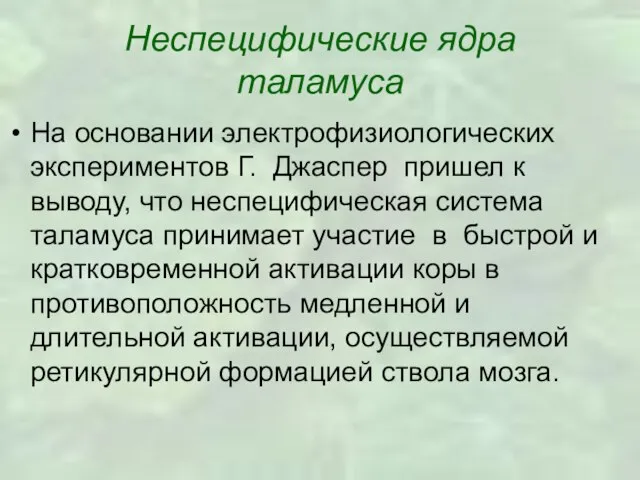 Неспецифические ядра таламуса На основании электрофизиологических экспериментов Г. Джаспер пришел к выводу,