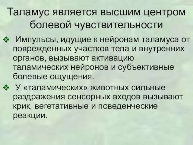 Таламус является высшим центром болевой чувствительности Импульсы, идущие к нейронам таламуса от