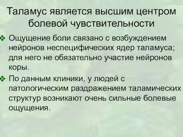 Таламус является высшим центром болевой чувствительности Ощущение боли связано с возбуждением нейронов