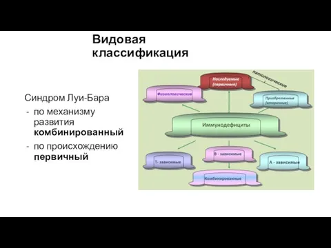 Видовая классификация Синдром Луи-Бара по механизму развития комбинированный по происхождению первичный