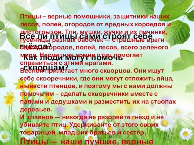 Все ли птицы сами строят себе гнёзда? Как люди могут помочь скворцам?