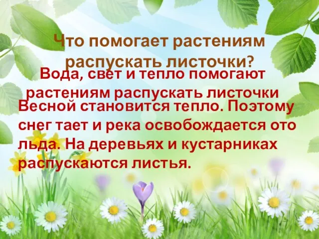 Что помогает растениям распускать листочки? Весной становится тепло. Поэтому снег тает и