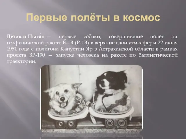 Первые полёты в космос Де́зик и Цыга́н — первые собаки, совершившие полёт