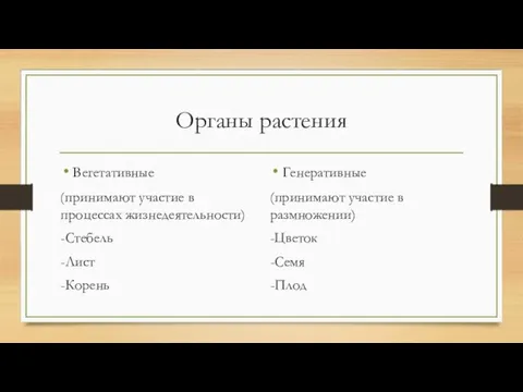 Органы растения Вегетативные (принимают участие в процессах жизнедеятельности) -Стебель -Лист -Корень Генеративные